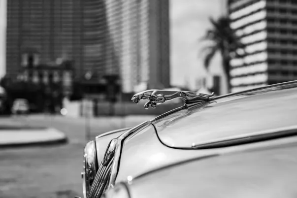 WagerWeb Casino Android/iOS App